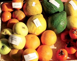 organic fruits